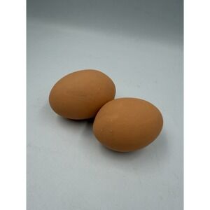 Fake Nest Eggs Wooden Brown Easter Eggs for Craft Get Hens to Lay Eggs 2Pcs